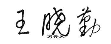 骆恒光王晓勤草书个性签名怎么写