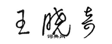 骆恒光王晓奇草书个性签名怎么写