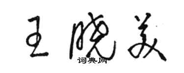 骆恒光王晓美草书个性签名怎么写