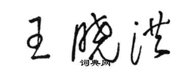 骆恒光王晓洪草书个性签名怎么写