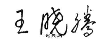 骆恒光王晓腾草书个性签名怎么写