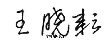 骆恒光王晓耘草书个性签名怎么写
