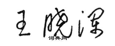 骆恒光王晓澜草书个性签名怎么写