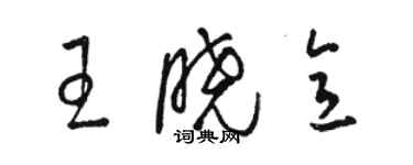 骆恒光王晓意草书个性签名怎么写