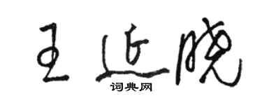 骆恒光王延晓草书个性签名怎么写