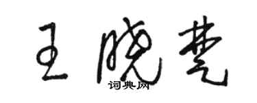 骆恒光王晓楚草书个性签名怎么写