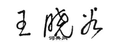 骆恒光王晓谷草书个性签名怎么写