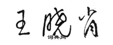 骆恒光王晓肖草书个性签名怎么写