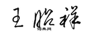 骆恒光王昭祥草书个性签名怎么写