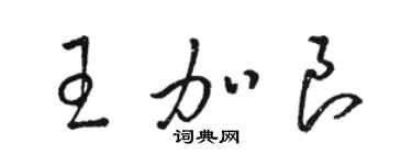 骆恒光王加良草书个性签名怎么写