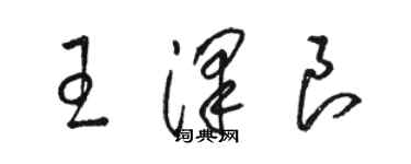 骆恒光王泽良草书个性签名怎么写