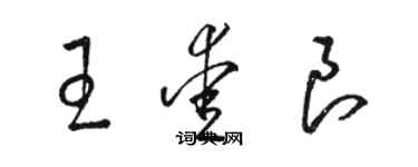 骆恒光王爱良草书个性签名怎么写