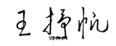 骆恒光王抒帆草书个性签名怎么写