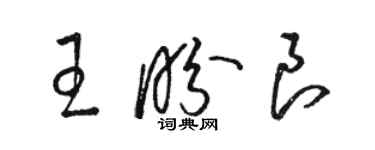 骆恒光王盼良草书个性签名怎么写