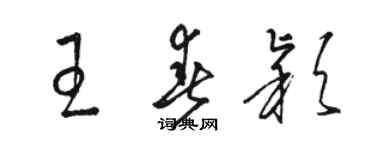 骆恒光王春颖草书个性签名怎么写