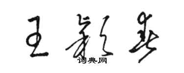 骆恒光王颖春草书个性签名怎么写