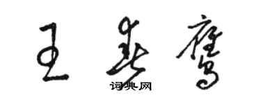 骆恒光王春鹰草书个性签名怎么写
