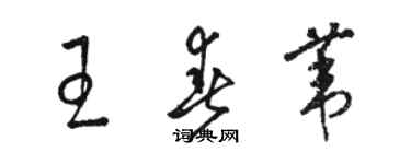 骆恒光王春苇草书个性签名怎么写