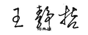 骆恒光王静哲草书个性签名怎么写