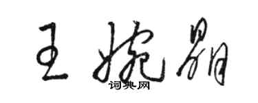 骆恒光王婉晶草书个性签名怎么写