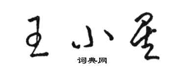 骆恒光王小星草书个性签名怎么写