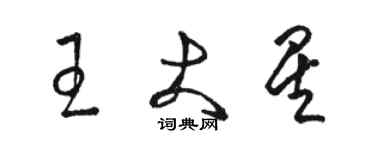 骆恒光王大星草书个性签名怎么写