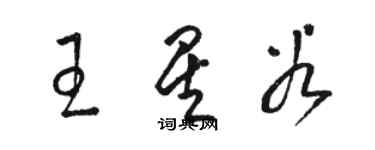 骆恒光王星谷草书个性签名怎么写