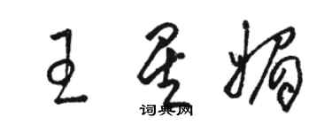 骆恒光王星媚草书个性签名怎么写