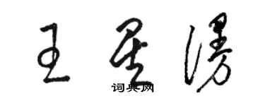 骆恒光王星漫草书个性签名怎么写