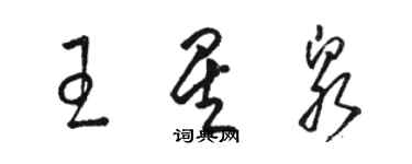 骆恒光王星泉草书个性签名怎么写