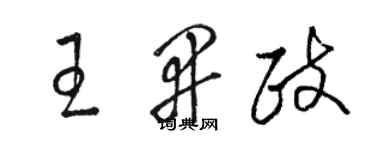 骆恒光王开政草书个性签名怎么写