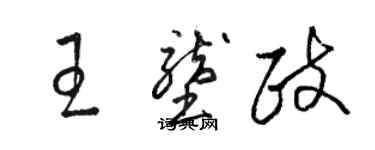 骆恒光王垄政草书个性签名怎么写