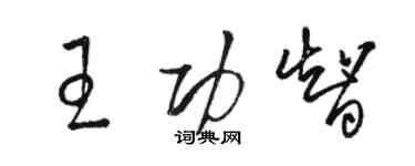 骆恒光王功智草书个性签名怎么写