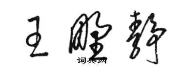 骆恒光王野静草书个性签名怎么写