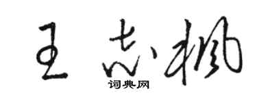 骆恒光王志枫草书个性签名怎么写