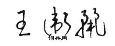 骆恒光王卫丽草书个性签名怎么写