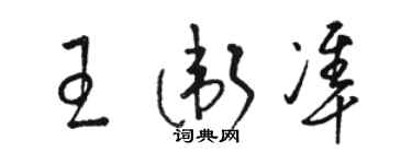 骆恒光王卫准草书个性签名怎么写