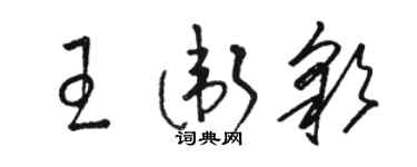 骆恒光王卫彩草书个性签名怎么写