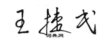 骆恒光王捷民草书个性签名怎么写