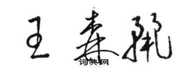 骆恒光王森丽草书个性签名怎么写