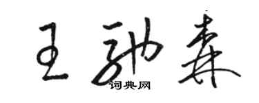 骆恒光王驰森草书个性签名怎么写