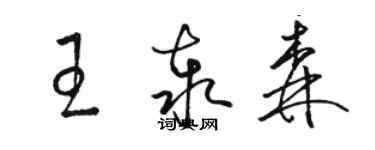 骆恒光王泰森草书个性签名怎么写