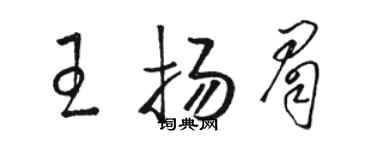 骆恒光王扬眉草书个性签名怎么写