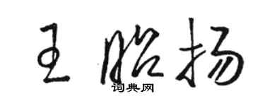 骆恒光王昭扬草书个性签名怎么写