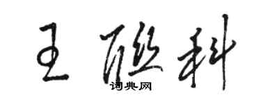 骆恒光王联科草书个性签名怎么写