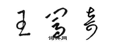 骆恒光王闯奇草书个性签名怎么写