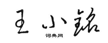 骆恒光王小铭草书个性签名怎么写