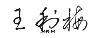 骆恒光王利梅草书个性签名怎么写