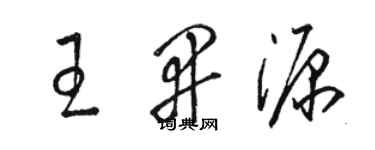 骆恒光王开源草书个性签名怎么写