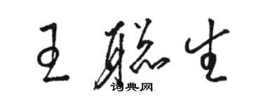 骆恒光王聪生草书个性签名怎么写